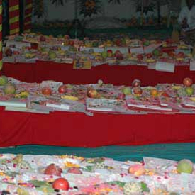 DSC0943_Sm