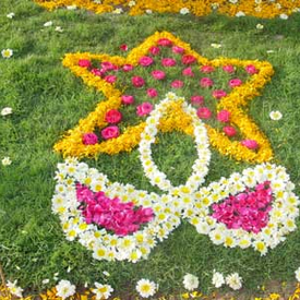 DSC08317_Sm