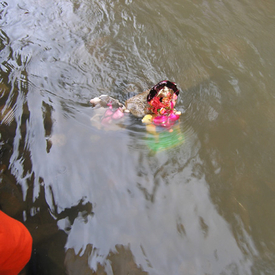 Feb 2007 - Junagadh - yogidharo