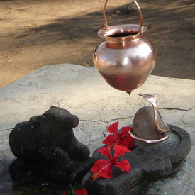 Nasik -001 (33)