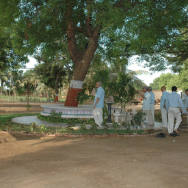 Copy of DSC_0587
