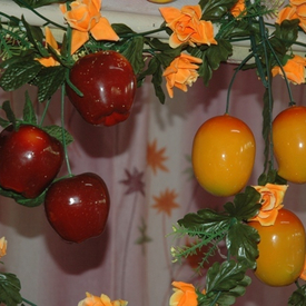 AUG 2011-Hindola Darshan-India