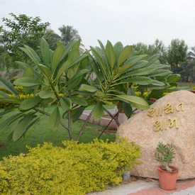 Dec 2014-Pappaji tirth dhun pradaxina-011214