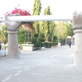 IMGP0513