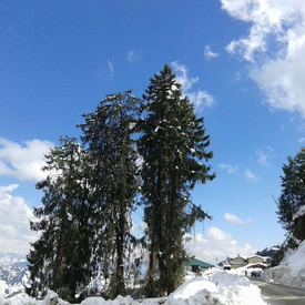 IMG-20150304-WA0028
