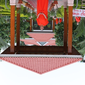 IMG_2391
